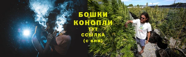ALPHA PVP Горняк