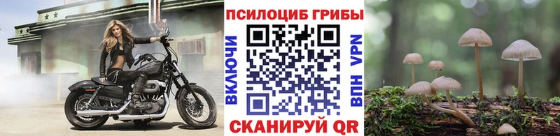 Купить Ангарск Галлюциногенные грибы мицелий